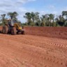 Produção de carne e grãos: entenda como ILP e irrigação garantem produção o ano todo!