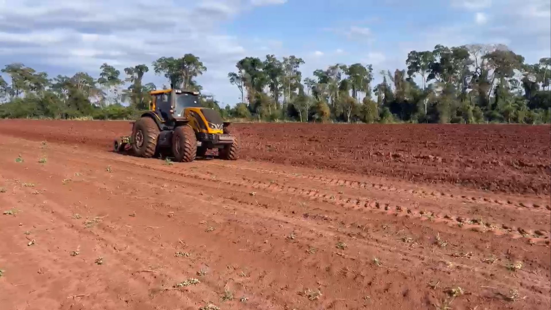 Produção de carne e grãos: entenda como ILP e irrigação garantem produção o ano todo!