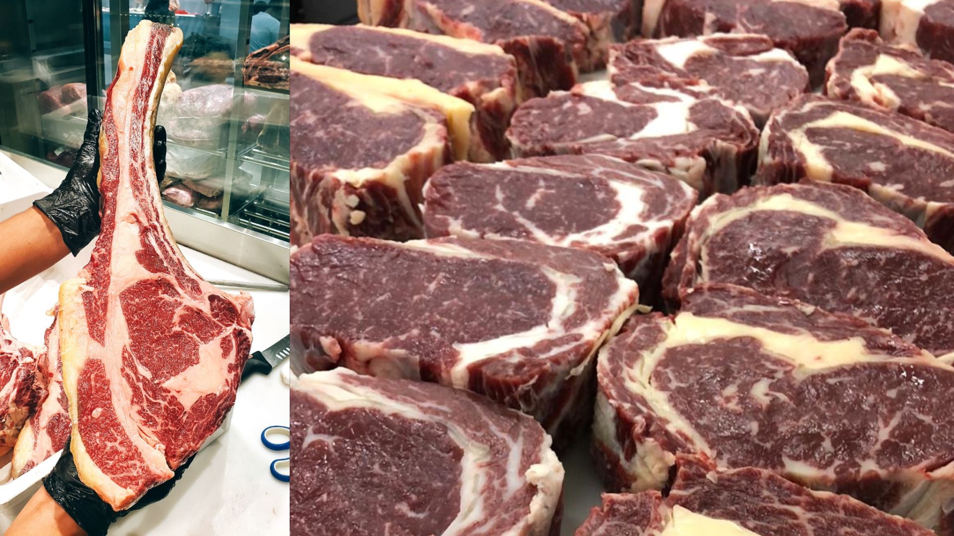 Entenda o potencial do Caracu para produção de carne premium