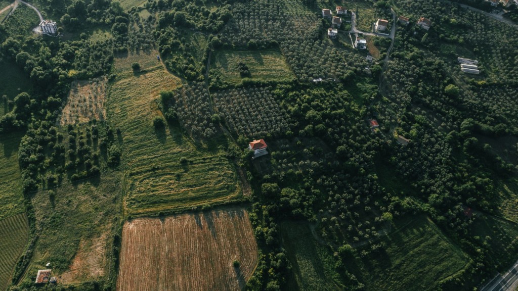 Do cadastro ao laudo: evitando prejuízos comerciais na propriedade rural