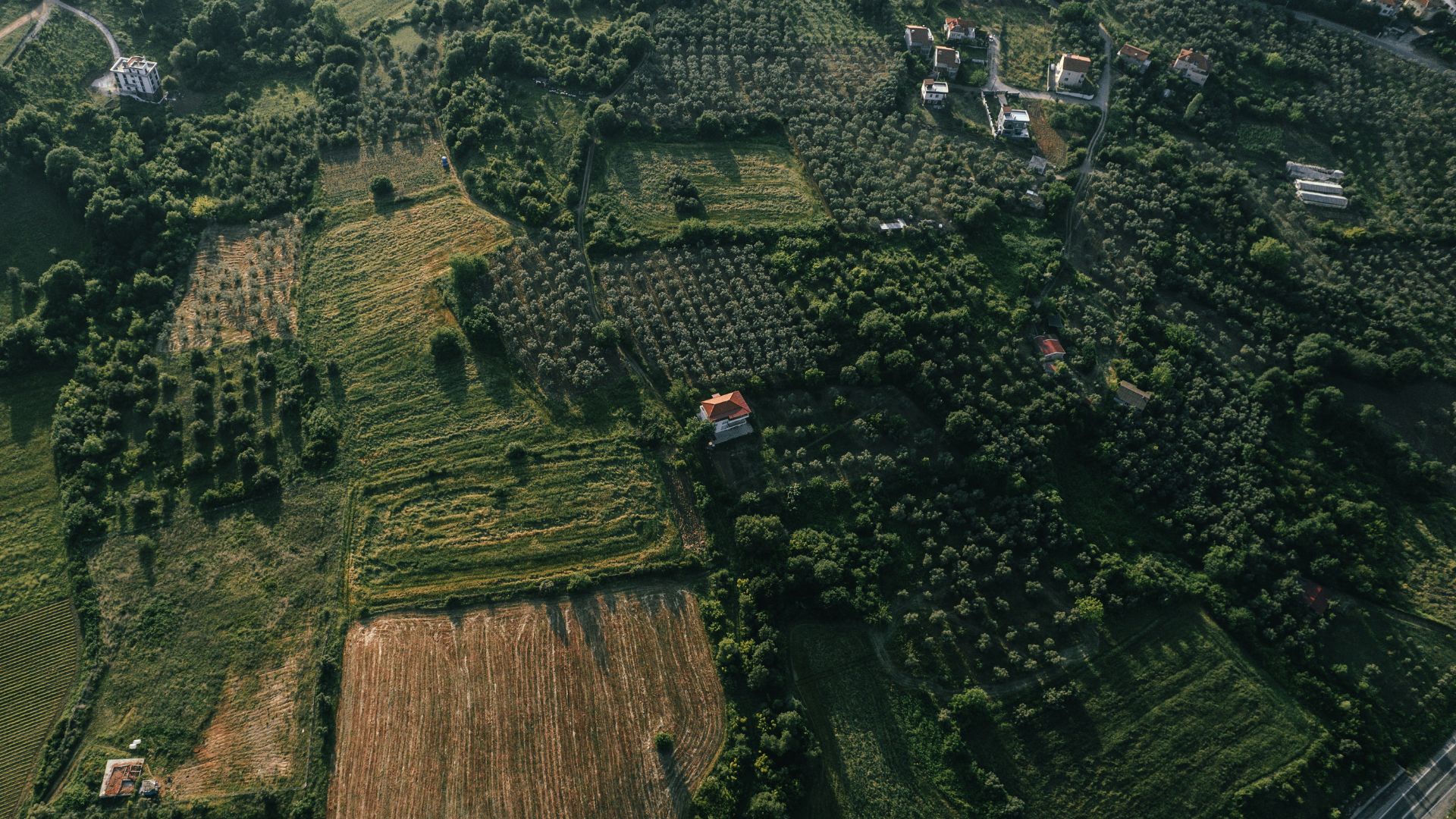 Do cadastro ao laudo: evitando prejuízos comerciais na propriedade rural