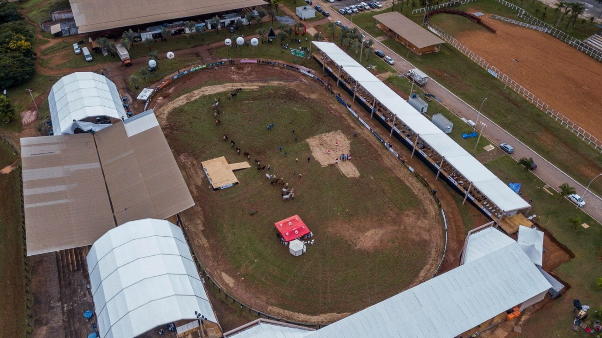 Exposições agropecuárias: saiba o papel do veterinário na ética e bem-estar