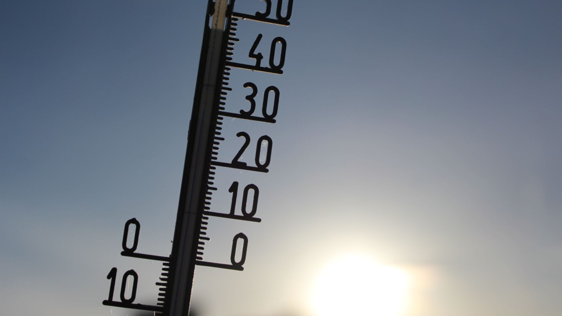 Calor de 40°C: fique atento ao risco de estresse do gado confinado. Saiba mais