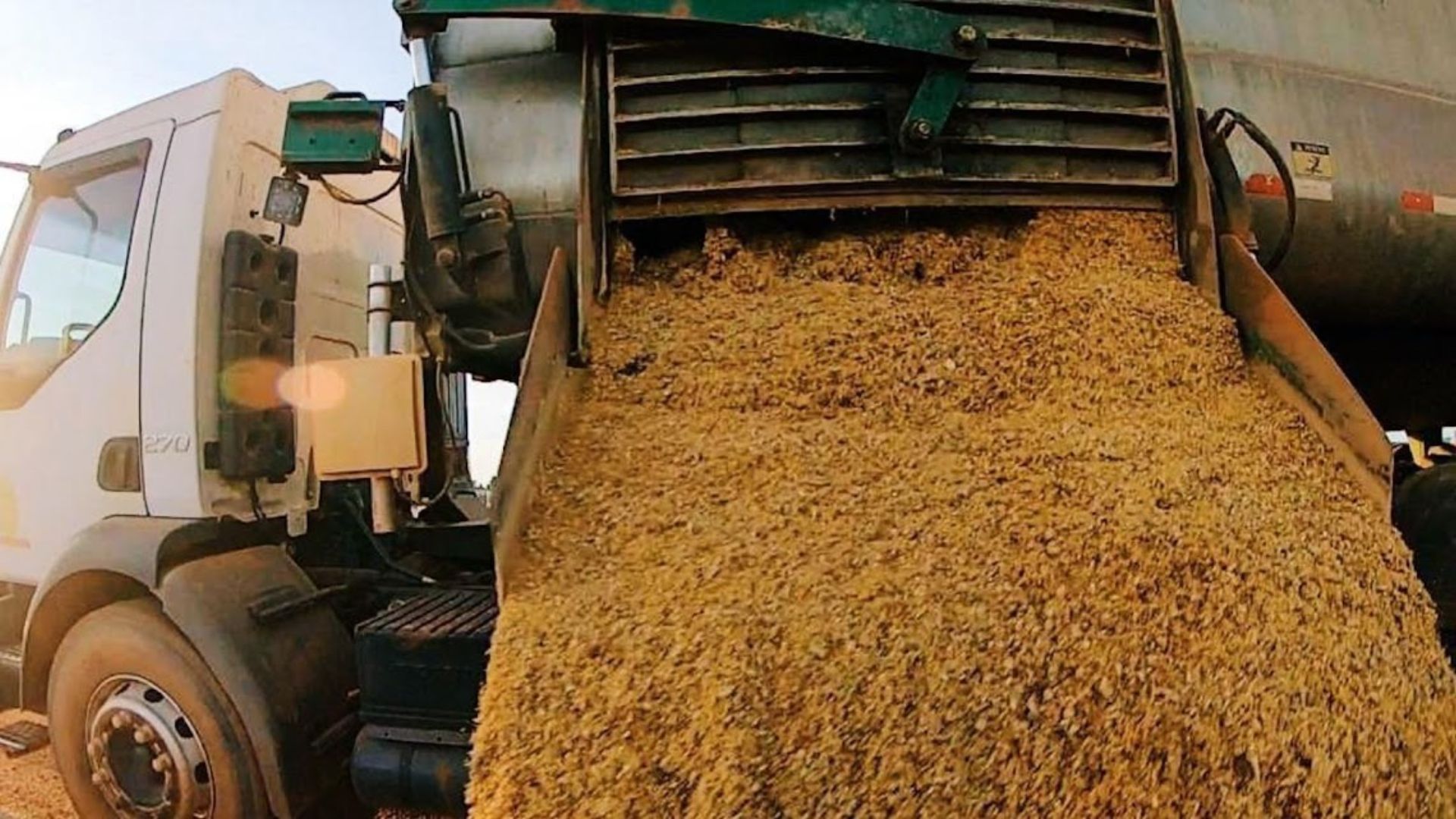 Produção de ração cresce mais de 3% em 2025 e pode chegar a 97 milhões de toneladas em 2026