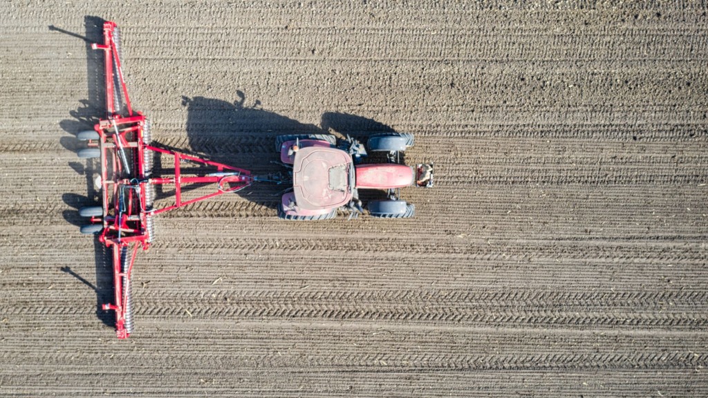 Foto: Canva. Foto: Canva.