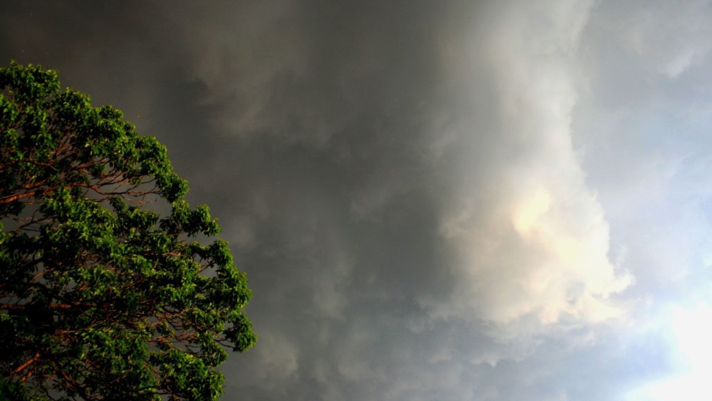 Chuva e queda de temperatura chegam para renovar pastos