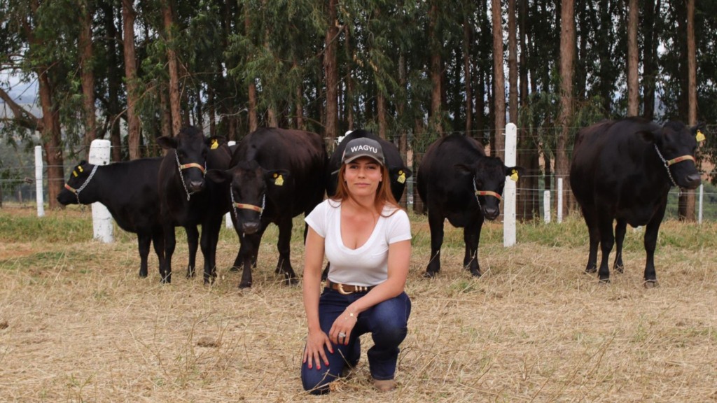 técnica da Associação Brasileira de Criadores de Bovinos da Raça Wagyu