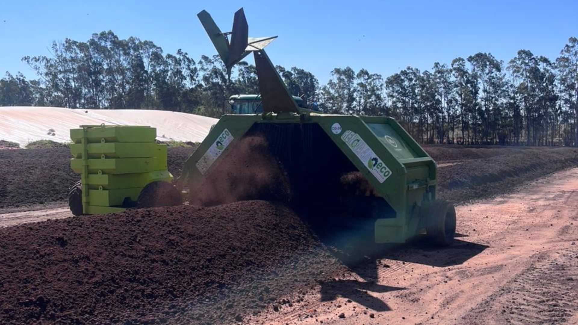 Projeto em MS transforma esterco bovino em lucro; veja detalhes