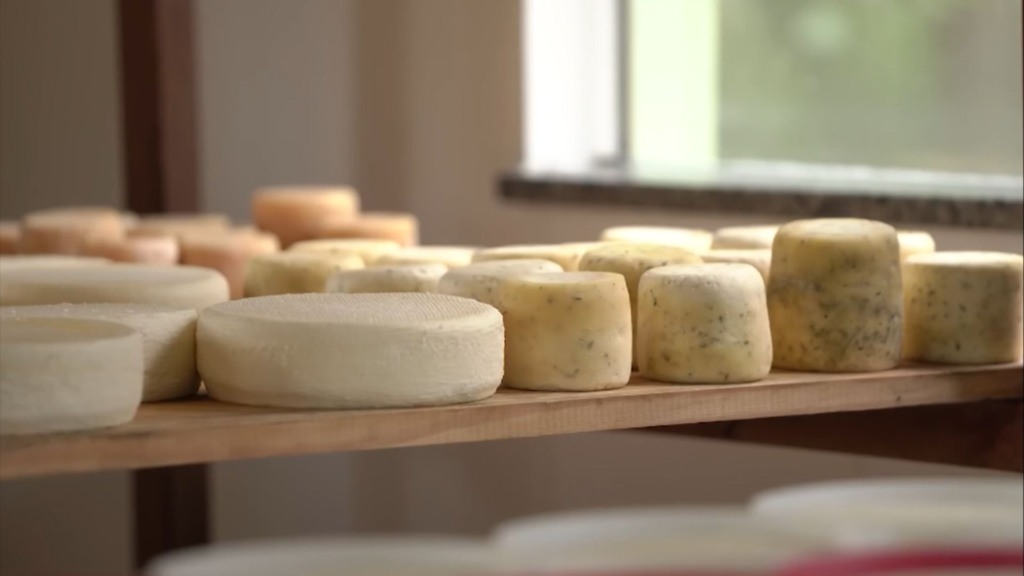 É possível produzir queijo da Serra da Canastra no Cerrado de Goiás?