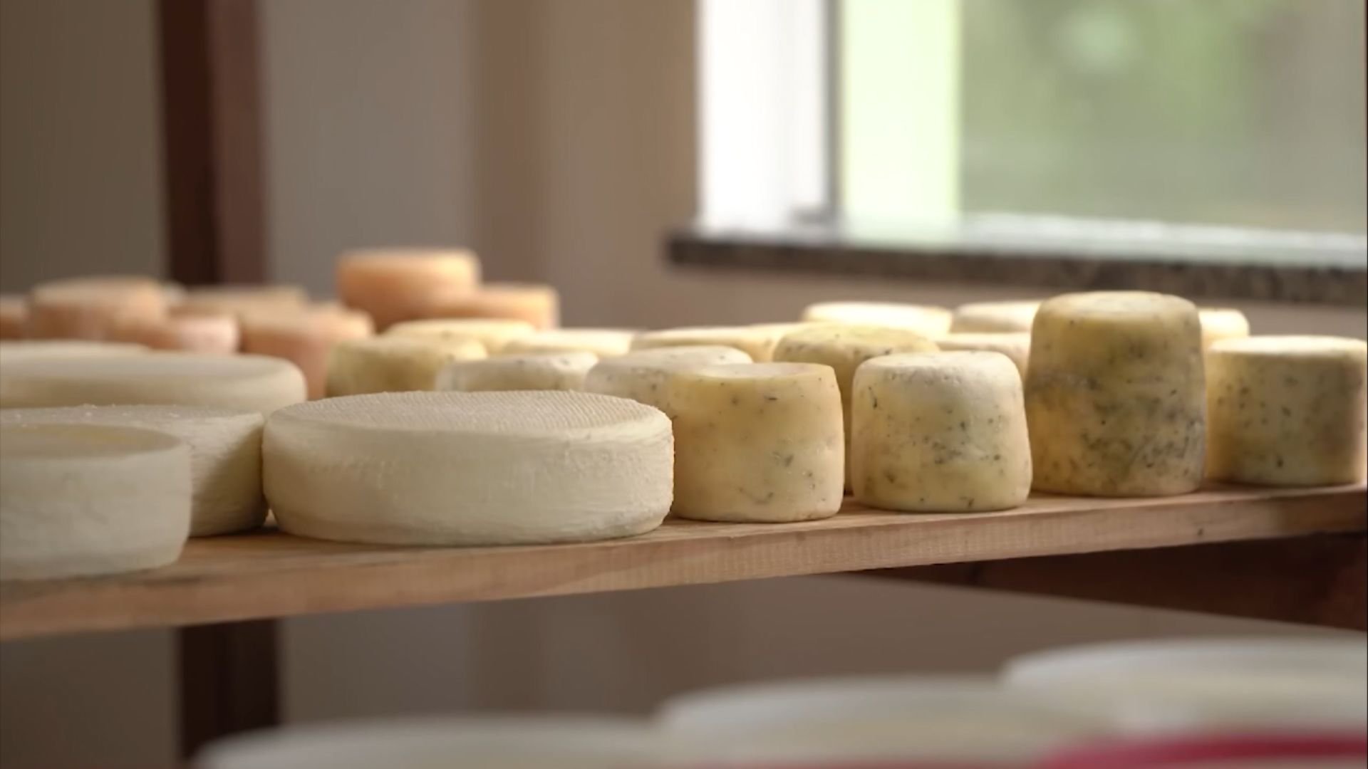 É possível produzir queijo da Serra da Canastra no Cerrado de Goiás?