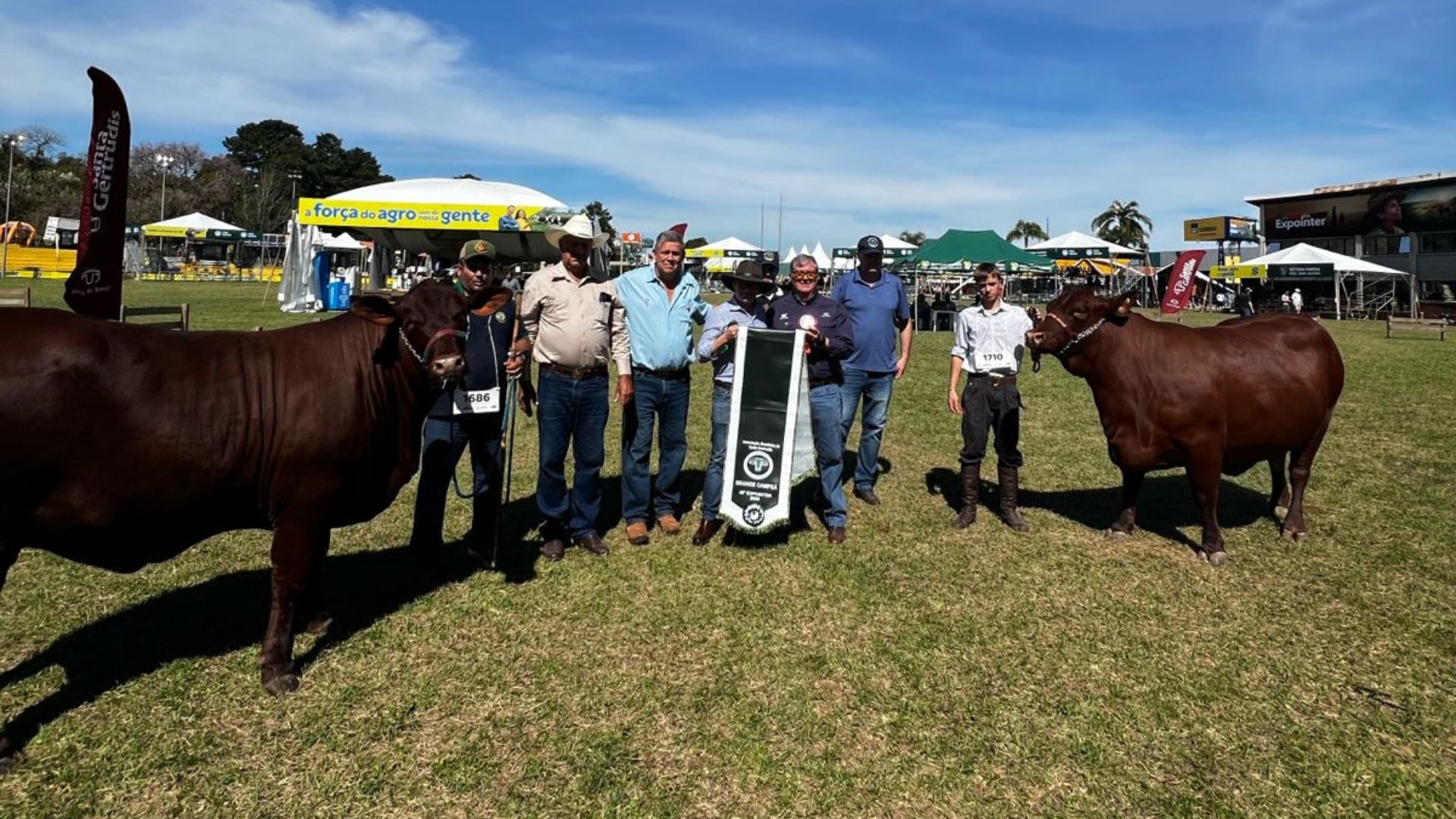 Santa Gertrudis retorna à Expointer e reforça sua força na pecuária