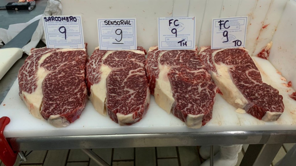 Detalhe do marmoreio da carne de Wagyu. Foto: Divulgação.