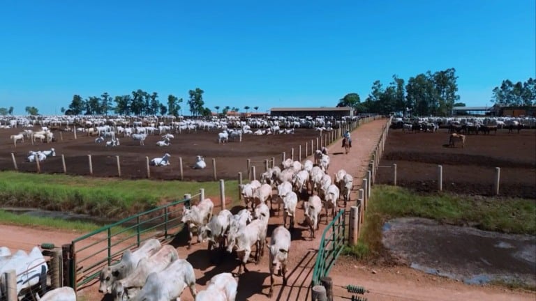 Foto: Divulgação.