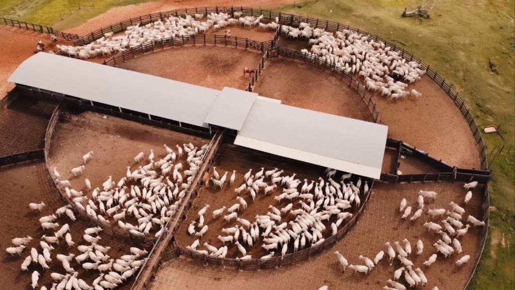 ASBIA está na trilha para fazer o Brasil o maior produtor de carne do mundo