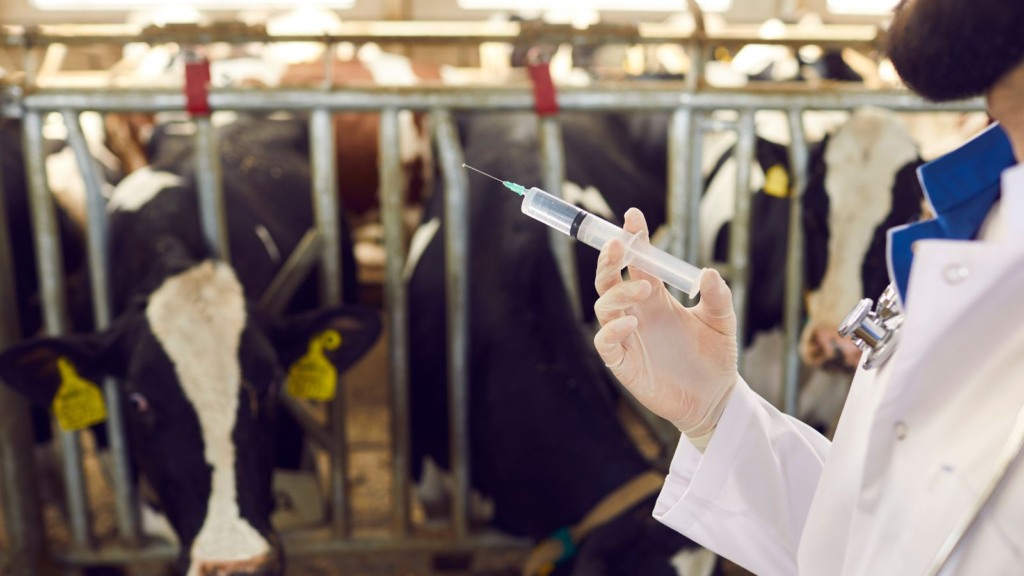 Aprovado projeto de lei que criminaliza o exercício ilegal da Medicina Veterinária