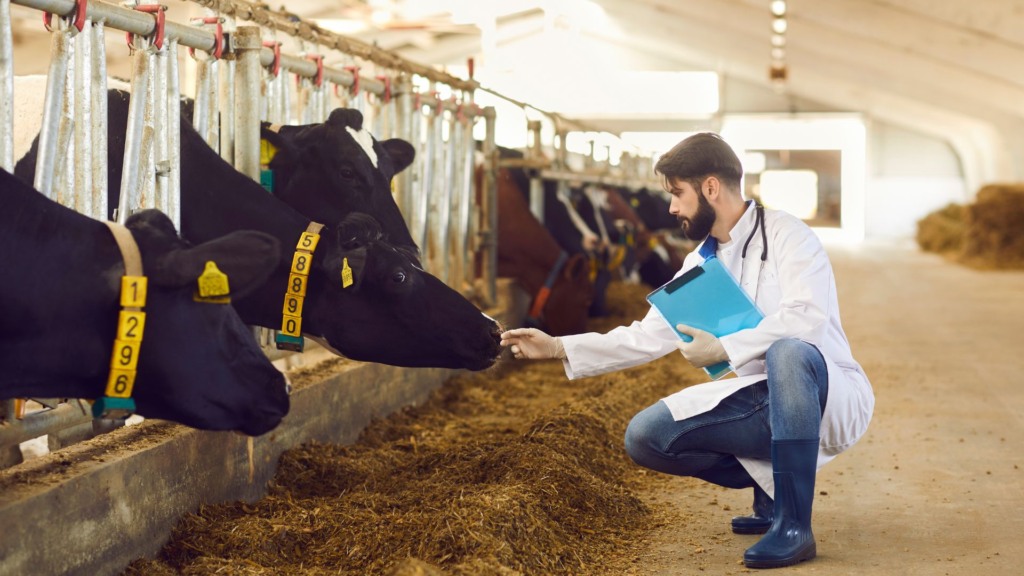 Orgulho de ser veterinário: confira sua importância para o presente e o futuro do agro