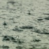 Chuva e calor: previsão aponta temporada promissora para o milho e pastagens