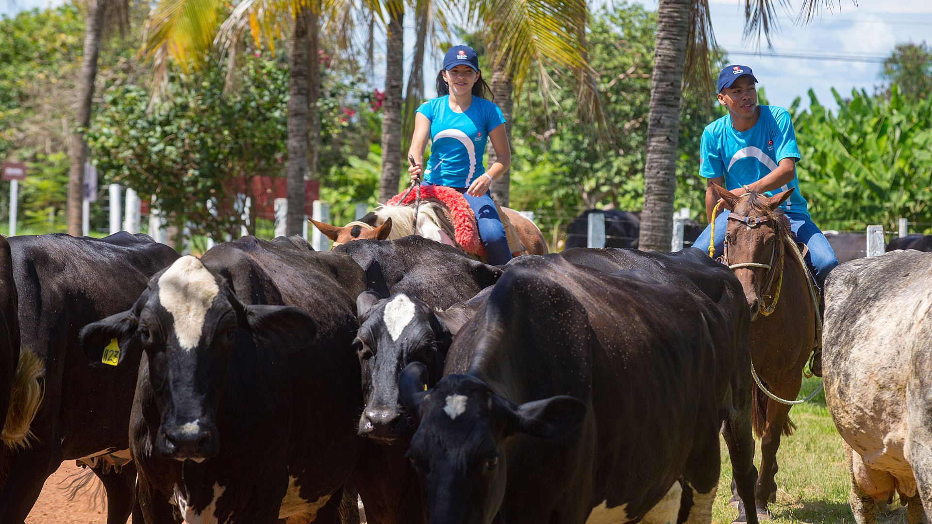 Fundação Bradesco se consolida como maior formadora privada de mão-de-obra do agro brasileiro. Foto: Divulgação/Fundação Bradesco.