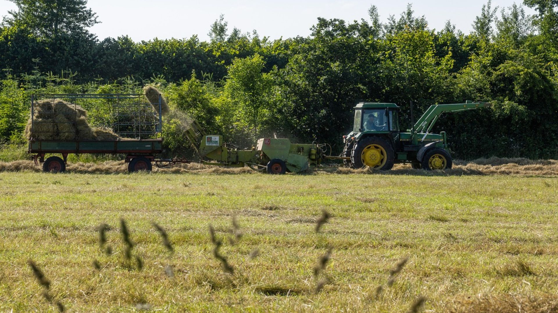 Emprego no agronegócio bate recorde e representa 26% das ocupações. Foto: PIxabay.