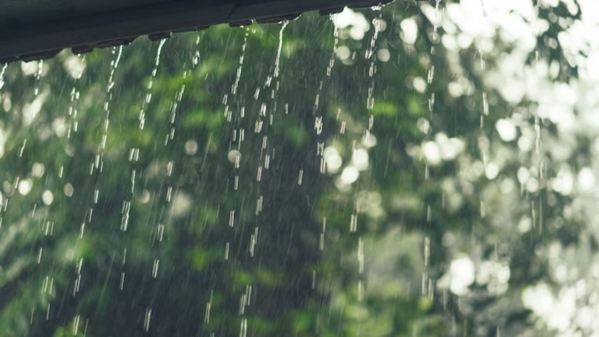 Chuva no norte, calor no centro e ciclone no final de semana. Foto: Divulgação.