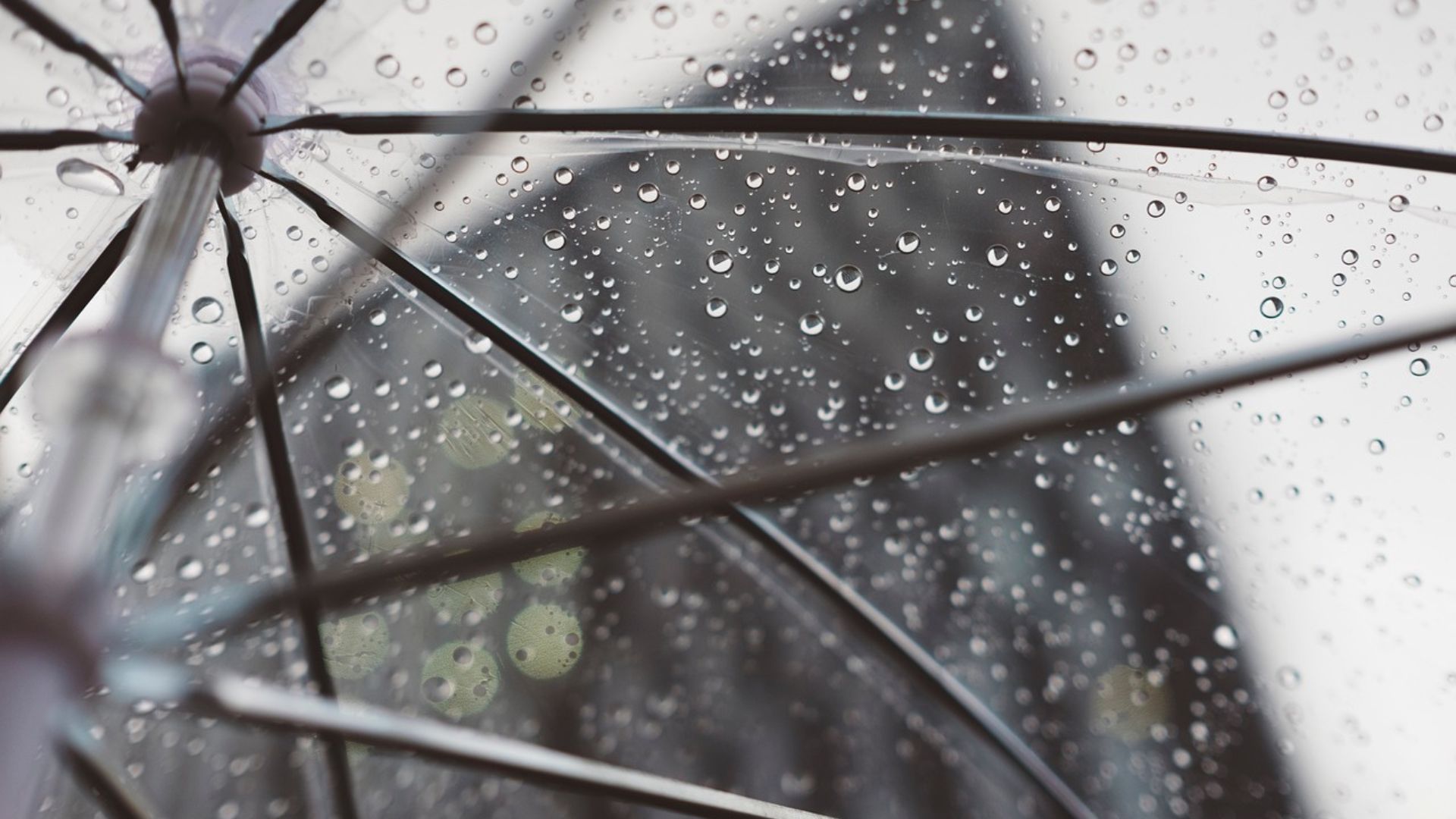 Chuva avança para Norte e Nordeste e acaba com a seca. Foto: Pixabay.