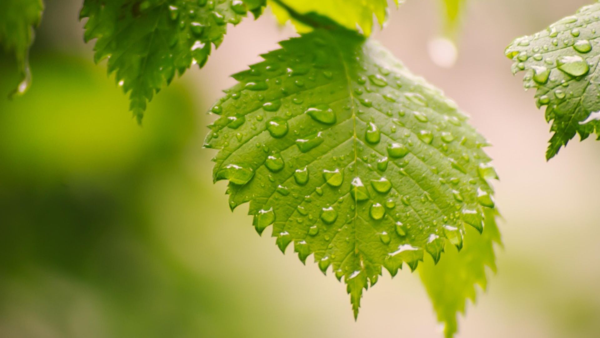 Frente fria alivia calor no Centro-Oeste e Rondônia espera mais de 200 milímetros de chuva (Foto: Pixabay). Frente fria alivia calor no Centro-Oeste e Rondônia espera mais de 200 milímetros de chuva (Foto: Pixabay).
