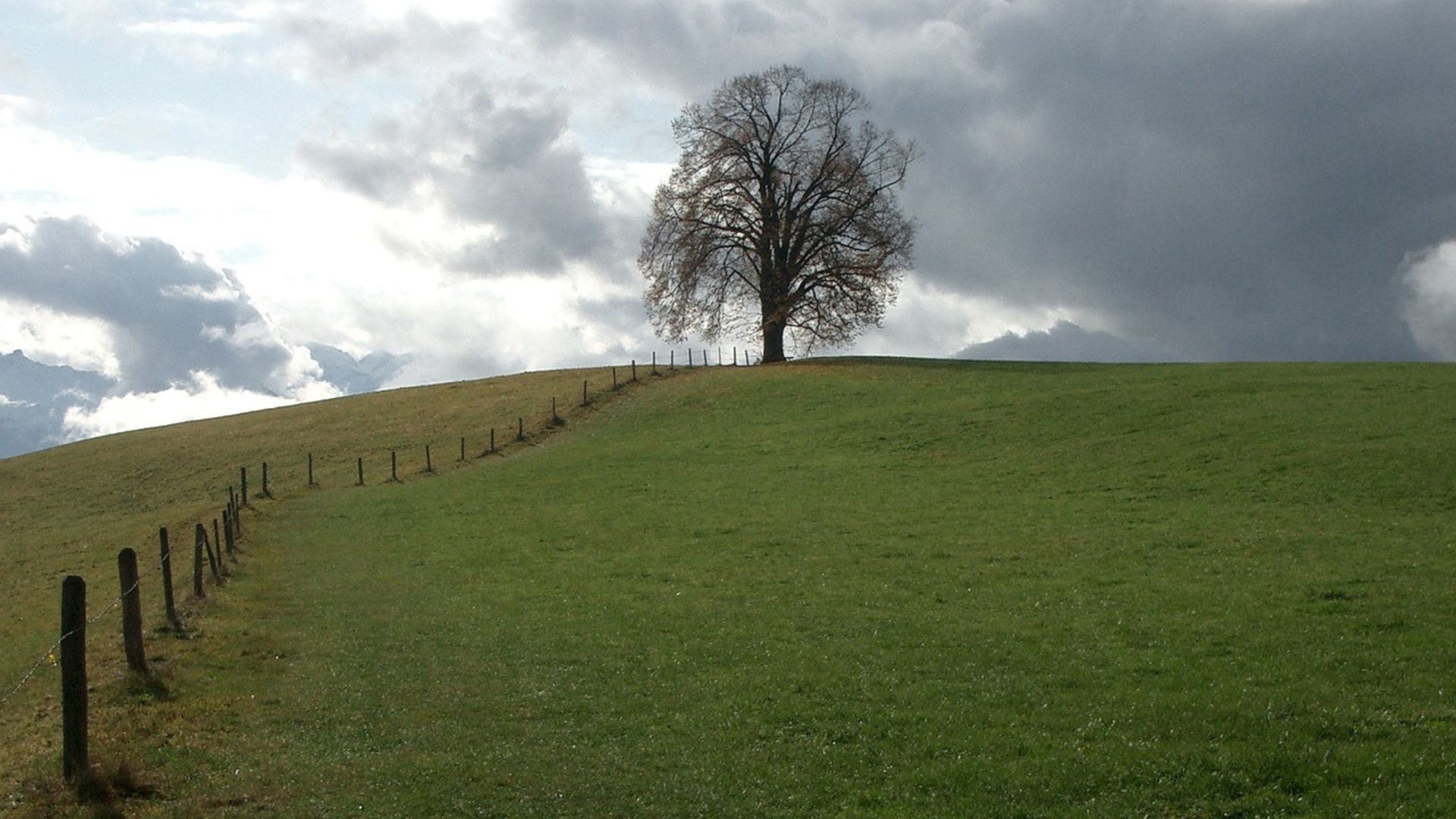 Chuva se concentra no Sudeste e Sul de Goiás; calor volta ao Tocantins e Rondônia (Foto: Pixabay).