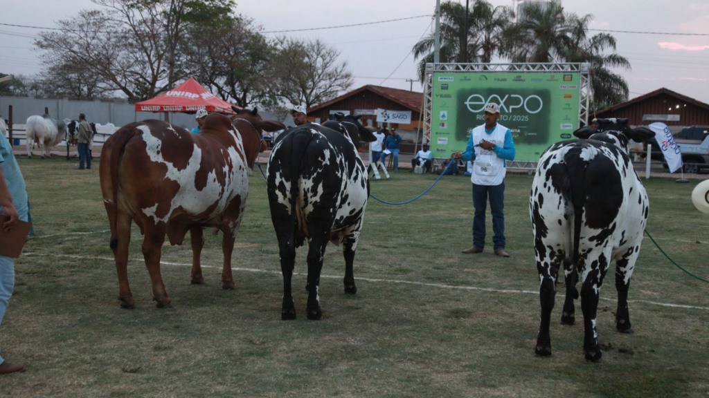 Expo Rio Preto celebra a sua maior e melhor feira em 62 anos. Foto: Arnaldo Mussi