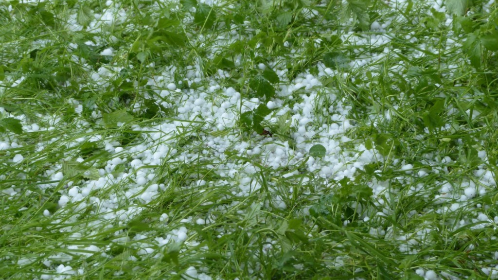 Temporais e queda de granizo ameaçam pecuária de MS, MT e SP. Foto: Divulgação.