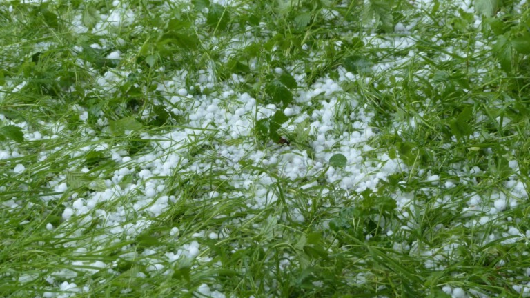 Temporais e queda de granizo ameaçam pecuária de MS, MT e SP. Foto: Divulgação.