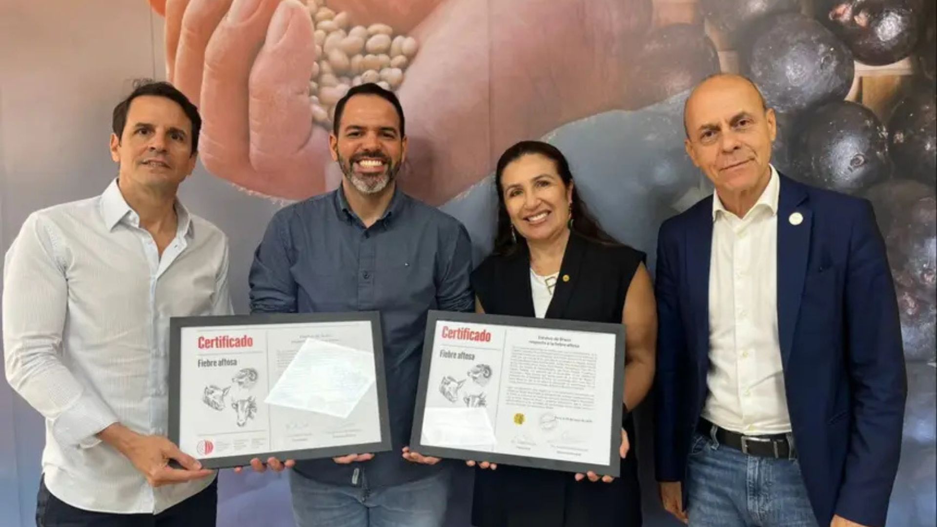 Pará recebe certificado de zona livre de aftosa sem vacinação (Foto: Divulgação/Agência Pará).
