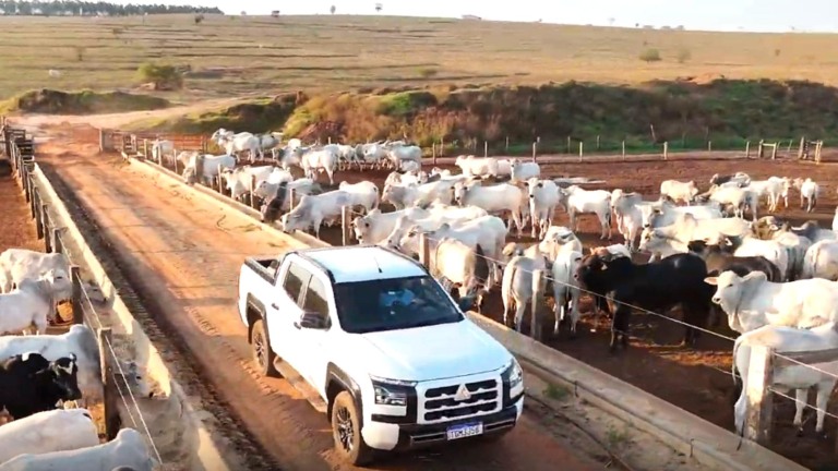 Genética de ponta e confinamento com operação simples, eficiente e sustentável (Foto: Divulgação).