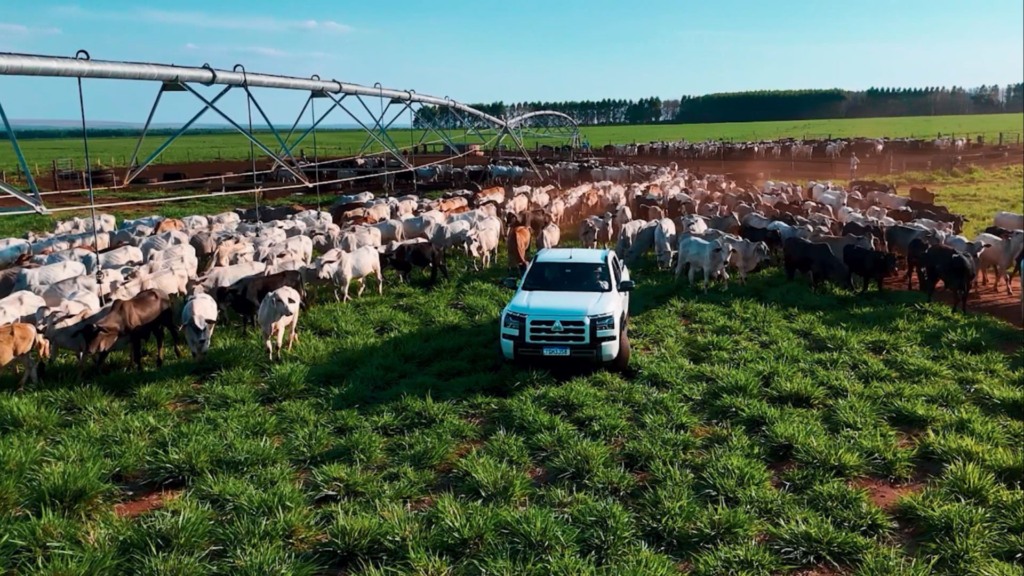 Expedição Mitsubishi Triton Katana: fazenda transforma recria a pasto em modelo de eficiência (Foto: Reprodução/Giro do Boi).