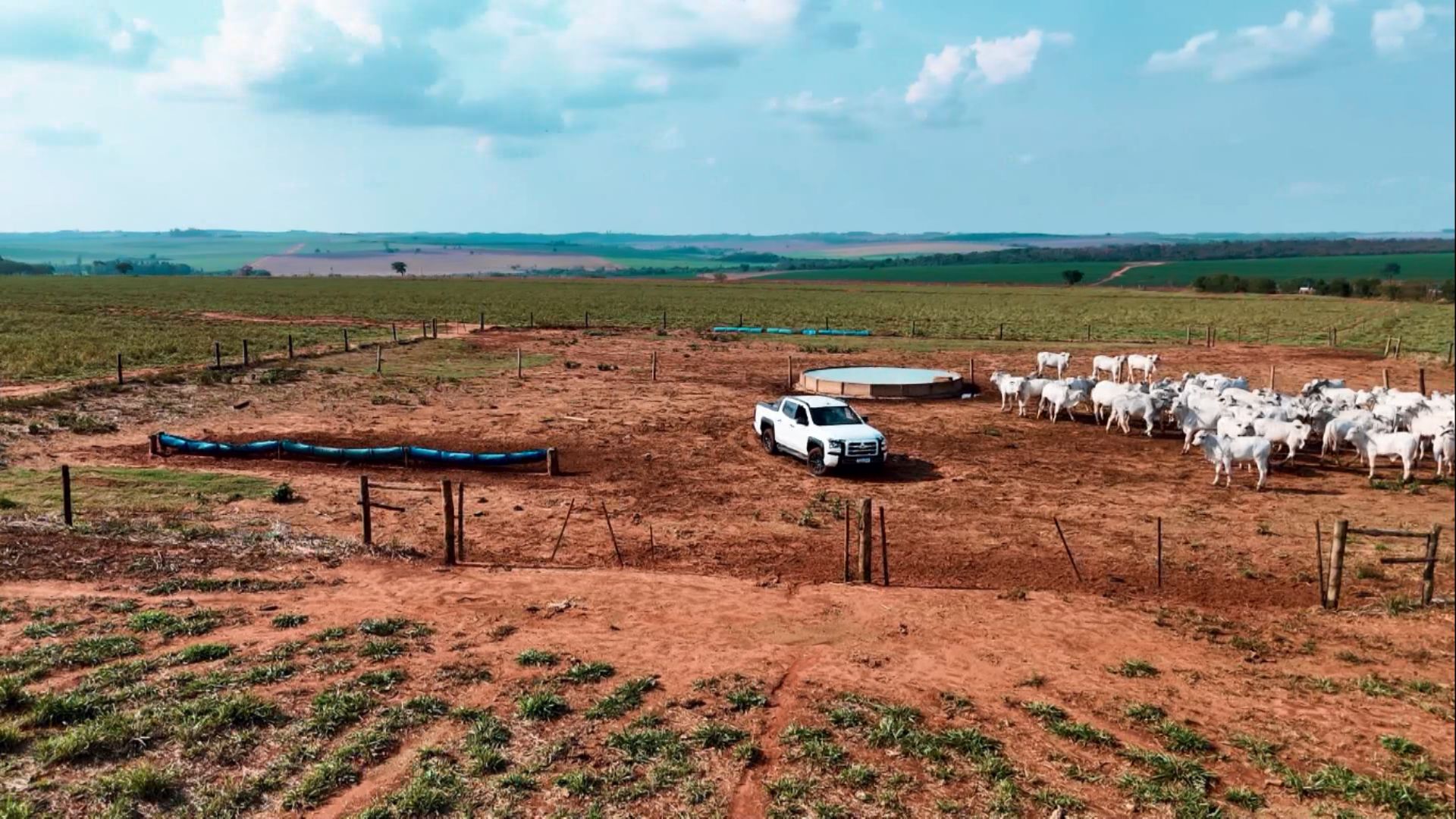 Foto: Reprodução/Giro do Boi.