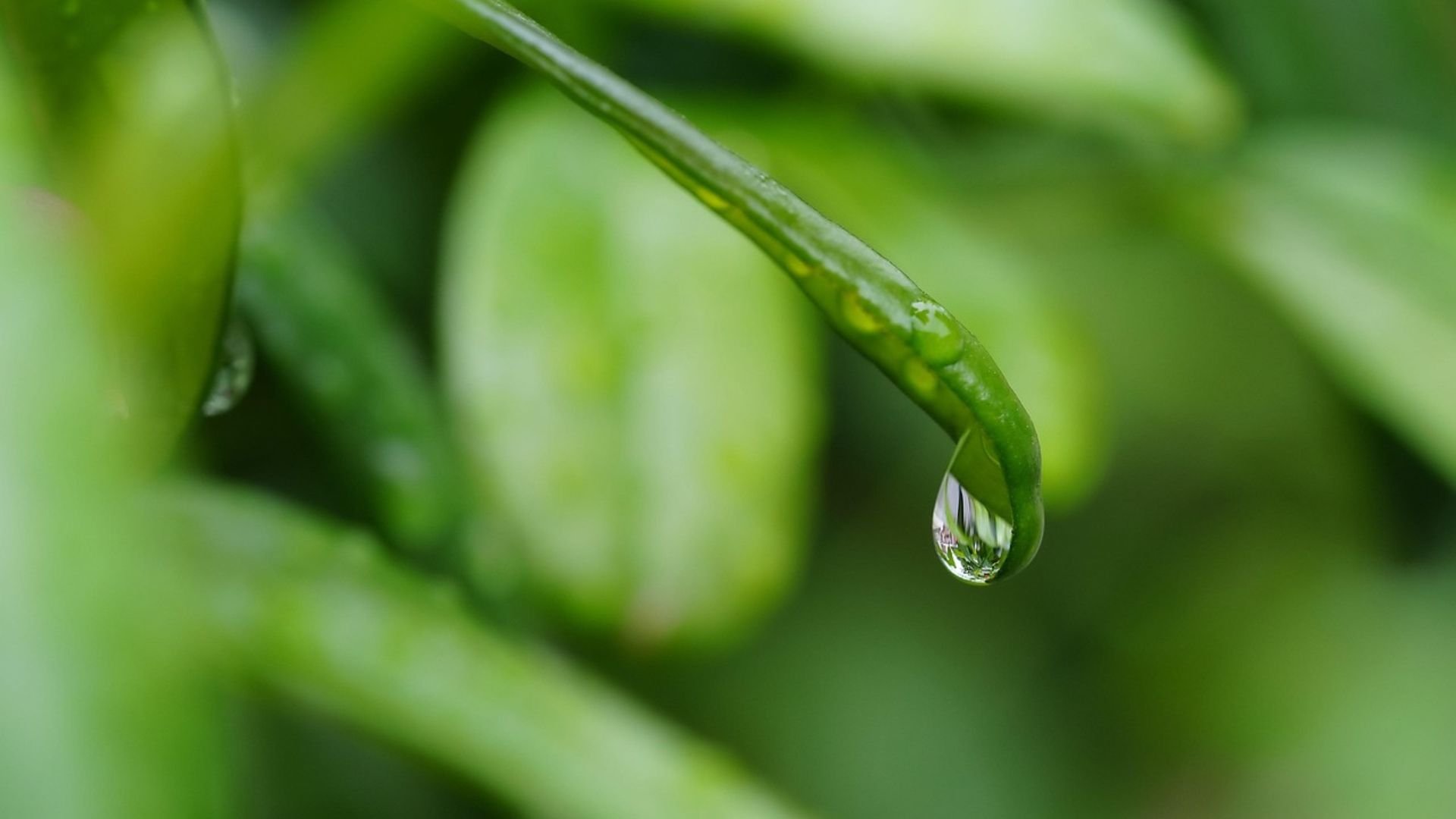 Chuva no norte e alerta de 100 milímetros no Sul: o que vem por aí (Foto: Pixabay).