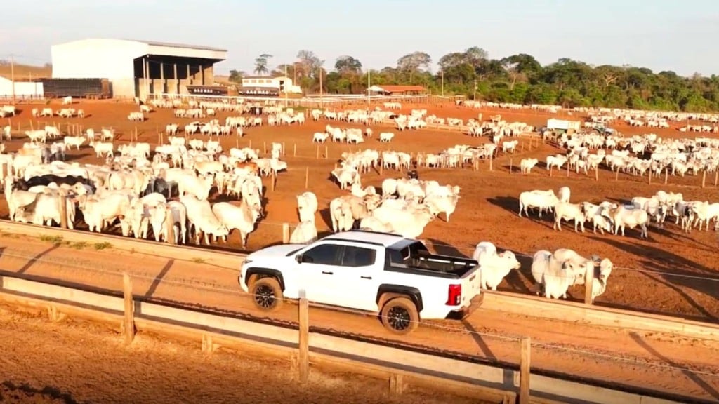 Expedição Mitsubishi Triton Katana mostra como a inovação garante o futuro da pecuária brasileira (Foto: Divulgação). Expedição Mitsubishi Triton Katana mostra como a inovação garante o futuro da pecuária brasileira (Foto: Divulgação).