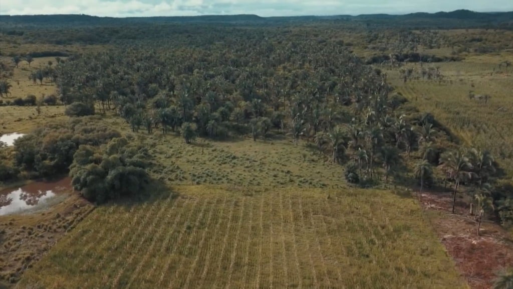 Reserva legal em fazendas antigas: qual é o percentual exigido por lei? (Foto: Reprodução).