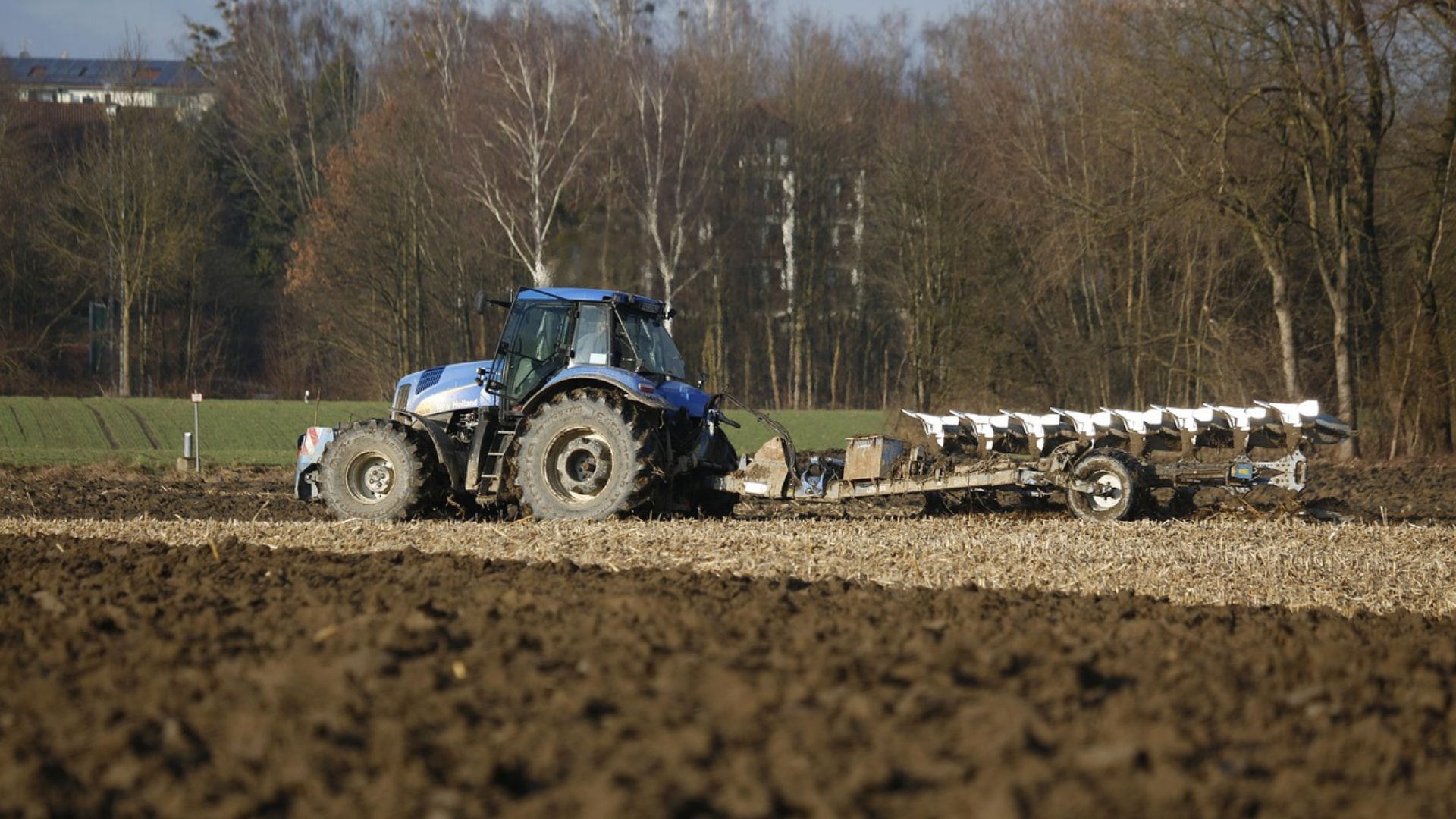 Manejo correto do solo torna pecuária aliada no combate ao clima (Foto: Pixabay).