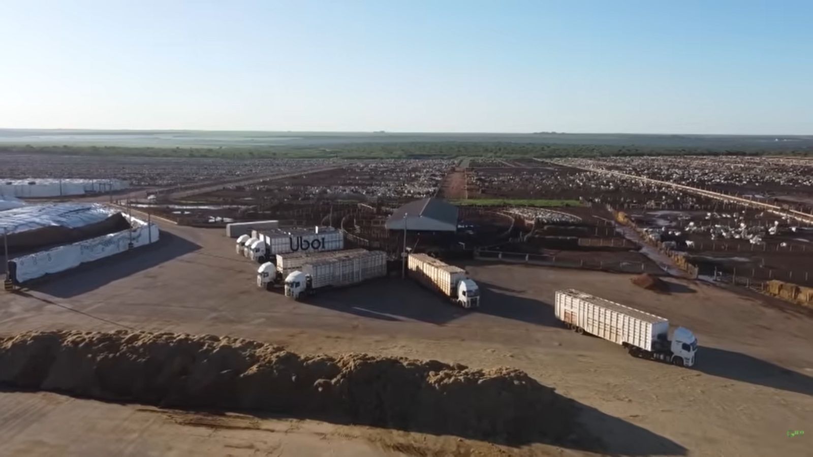 Foto: Reprodução Giro do Boi