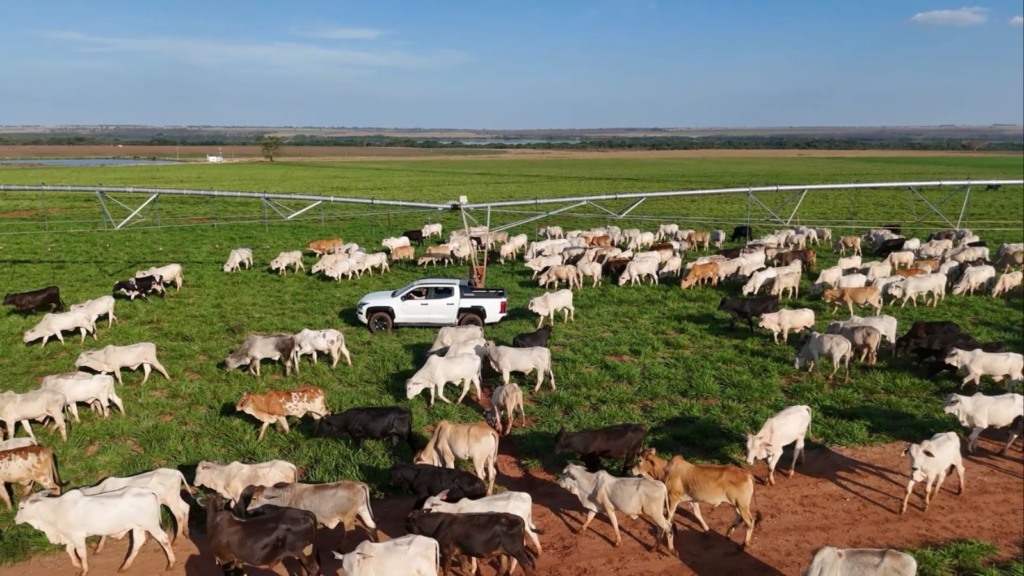 Foto: Reprodução/Giro do Boi.