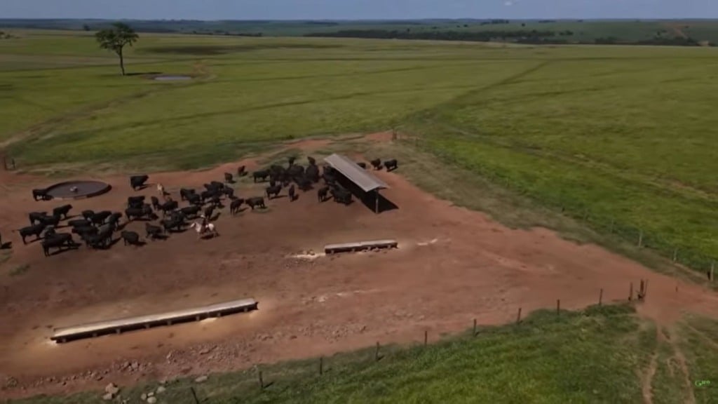 Foto: Reprodução Giro do Boi