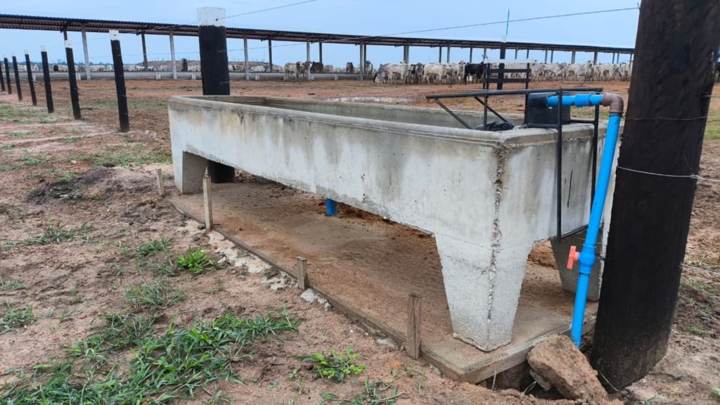 Rondônia: fazenda em Cerejeiras se destaca pela pecuária intensiva (Foto: Divulgação).
