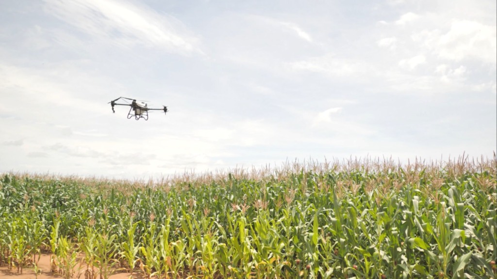 Foto: Reprodução/Giro do Boi.