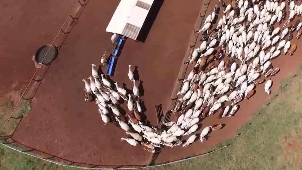 Foto: Reprodução/Giro do Boi. Foto: Reprodução/Giro do Boi.