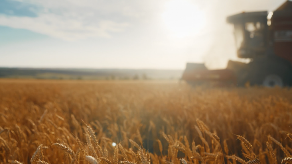 Foto: Reprodução/Giro do Boi.