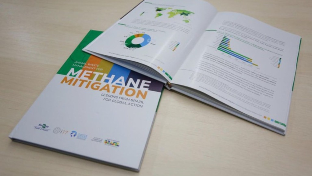 Foto: Olga Leiria/Everyday Brasil.