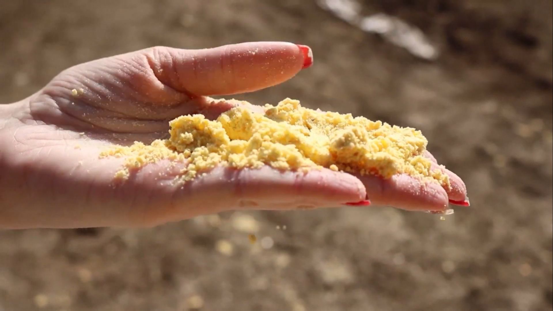 Foto: Reprodução/Giro do Boi.