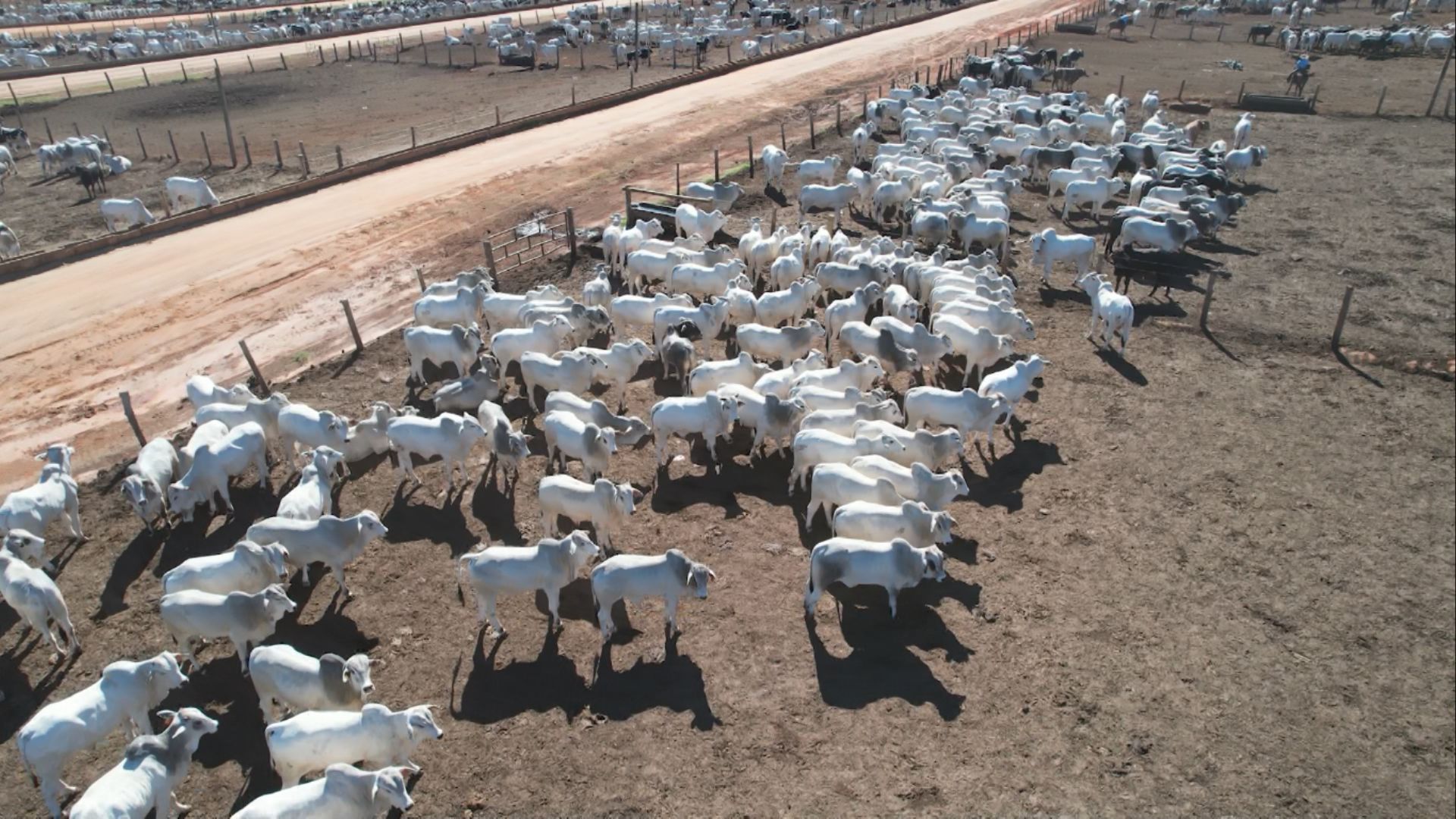 Foto: Reprodução/Giro do Boi.