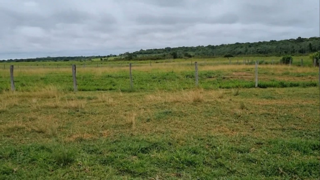 Foto: Reprodução/Giro do Boi.