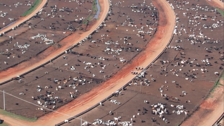 Foto: Reprodução/Giro do Boi.
